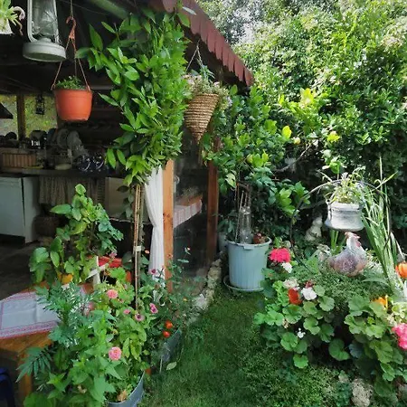 Вила Карина *